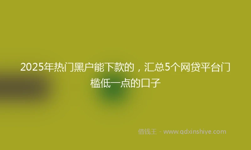 2025年热门黑户能下款的，汇总5个网贷平台门槛低一点的口子