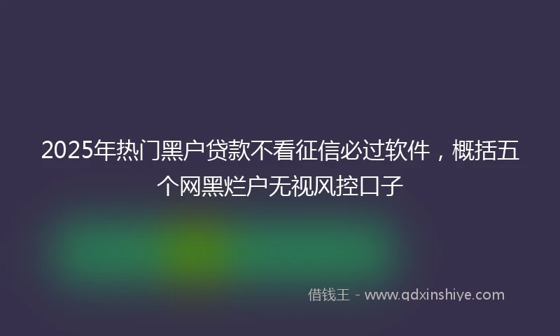 2025年热门黑户贷款不看征信必过软件，概括五个网黑烂户无视风控口子