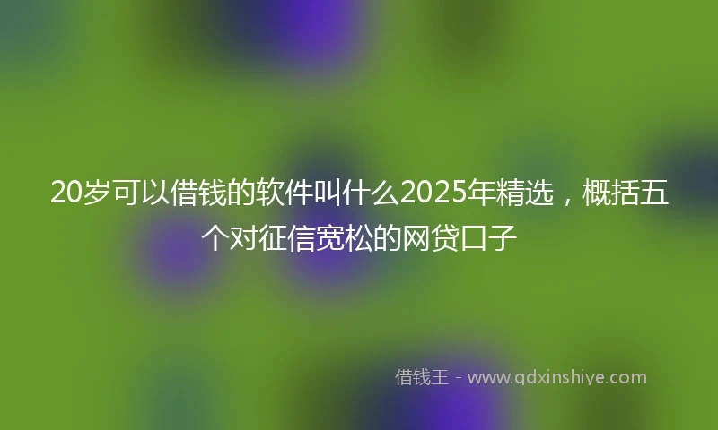 20岁可以借钱的软件叫什么2025年精选，概括五个对征信宽松的网贷口子