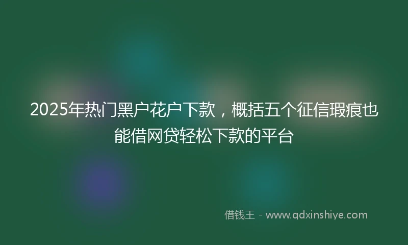 2025年热门黑户花户下款，概括五个征信瑕疵也能借网贷轻松下款的平台
