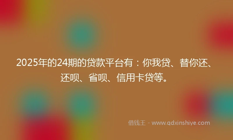 2025年的24期的贷款平台有：你我贷、替你还、还呗、省呗、信用卡贷等。