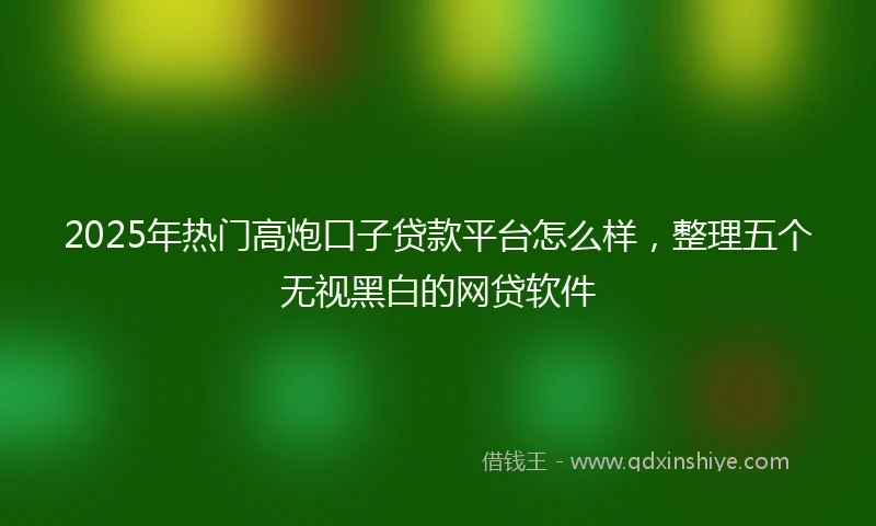 2025年热门高炮口子贷款平台怎么样，整理五个无视黑白的网贷软件
