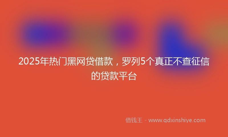 2025年热门黑网贷借款，罗列5个真正不查征信的贷款平台