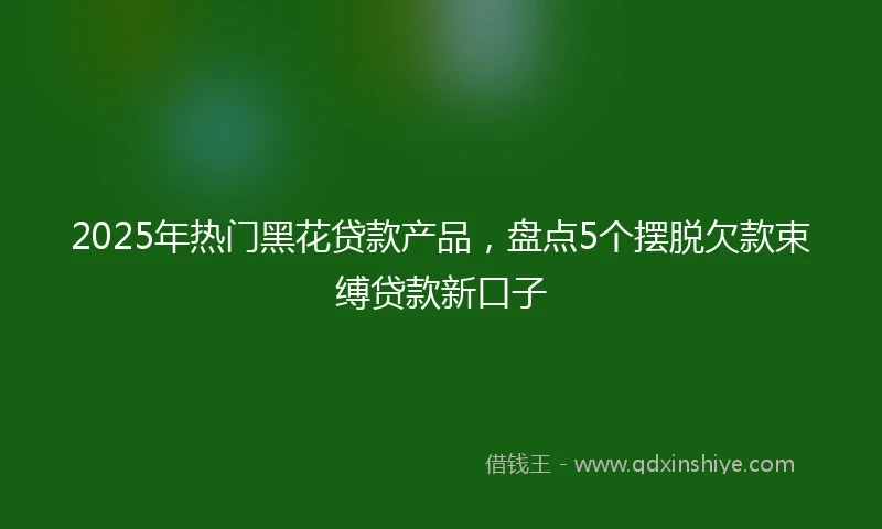 2025年热门黑花贷款产品，盘点5个摆脱欠款束缚贷款新口子