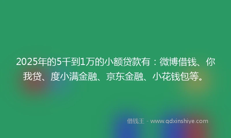 2025年的5千到1万的小额贷款有：微博借钱、你我贷、度小满金融、京东金融、小花钱包等。