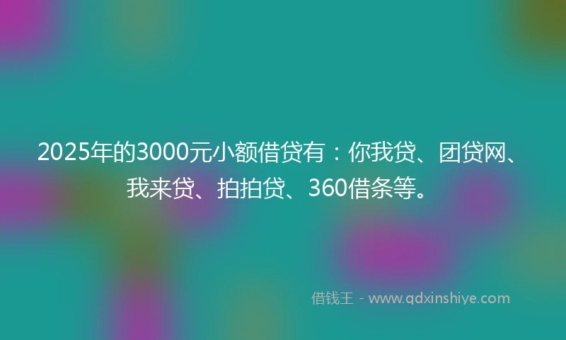 2025年的3000元小额借贷有：你我贷、团贷网、我来贷、拍拍贷、360借条等。