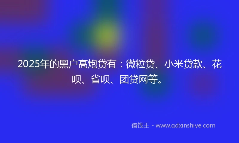 2025年的黑户高炮贷有：微粒贷、小米贷款、花呗、省呗、团贷网等。