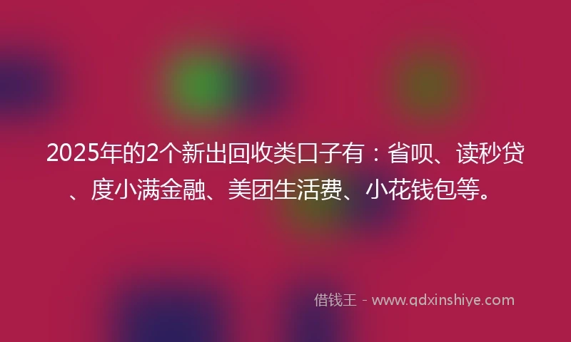 2025年的2个新出回收类口子有：省呗、读秒贷、度小满金融、美团生活费、小花钱包等。