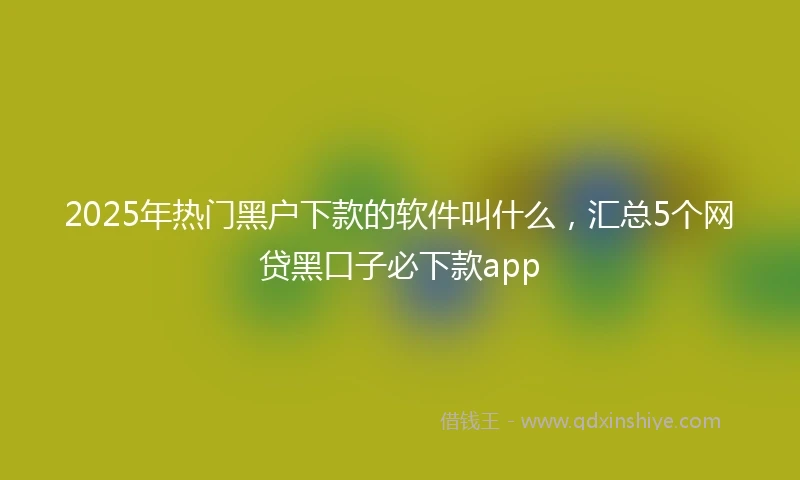 2025年热门黑户下款的软件叫什么，汇总5个网贷黑口子必下款app