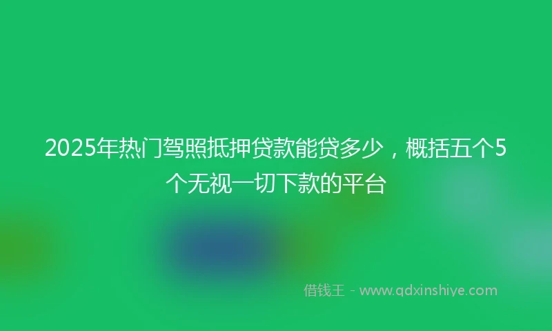 2025年热门驾照抵押贷款能贷多少，概括五个5个无视一切下款的平台