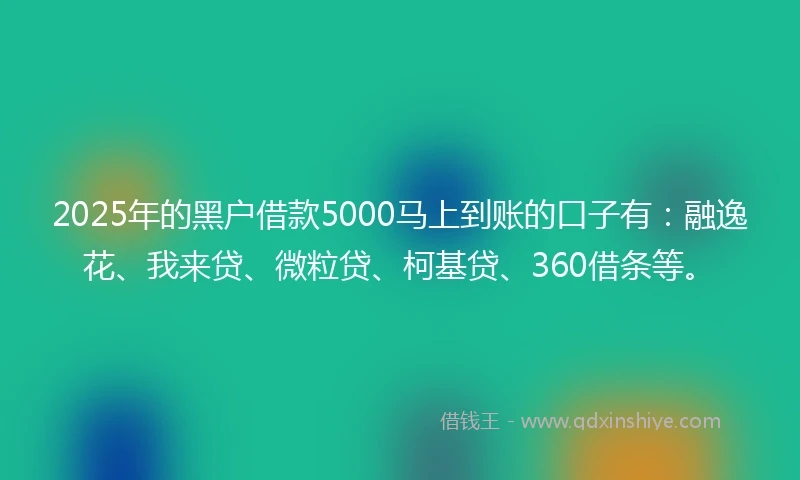 2025年的黑户借款5000马上到账的口子有：融逸花、我来贷、微粒贷、柯基贷、360借条等。