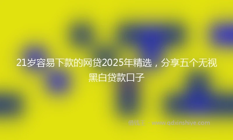21岁容易下款的网贷2025年精选，分享五个无视黑白贷款口子