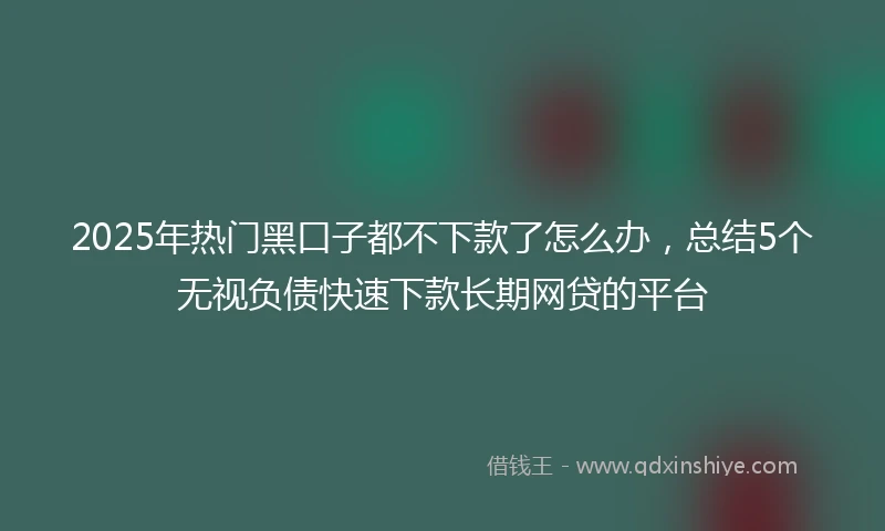 2025年热门黑口子都不下款了怎么办，总结5个无视负债快速下款长期网贷的平台