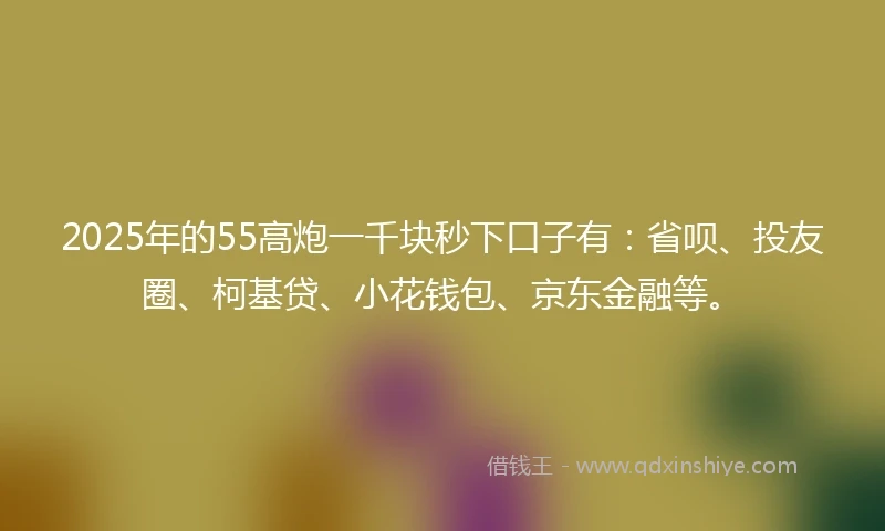 2025年的55高炮一千块秒下口子有：省呗、投友圈、柯基贷、小花钱包、京东金融等。