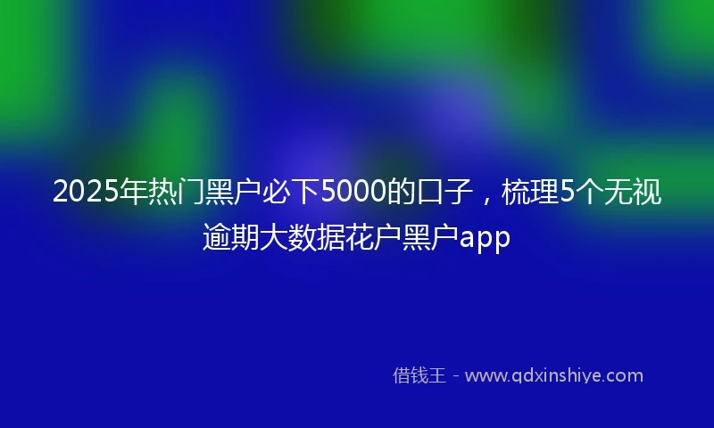 2025年热门黑户必下5000的口子，梳理5个无视逾期大数据花户黑户app
