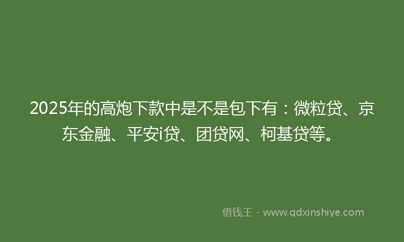 2025年的高炮下款中是不是包下有:微粒贷、京东金融、平安i贷、团贷网、柯基贷等。