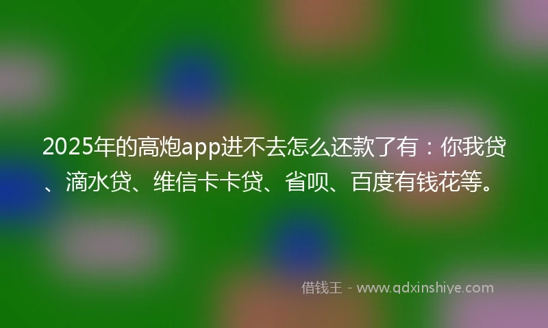 2025年的高炮app进不去怎么还款了有：你我贷、滴水贷、维信卡卡贷、省呗、百度有钱花等。