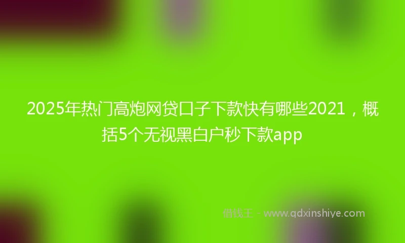 2025年热门高炮网贷口子下款快有哪些2021，概括5个无视黑白户秒下款app