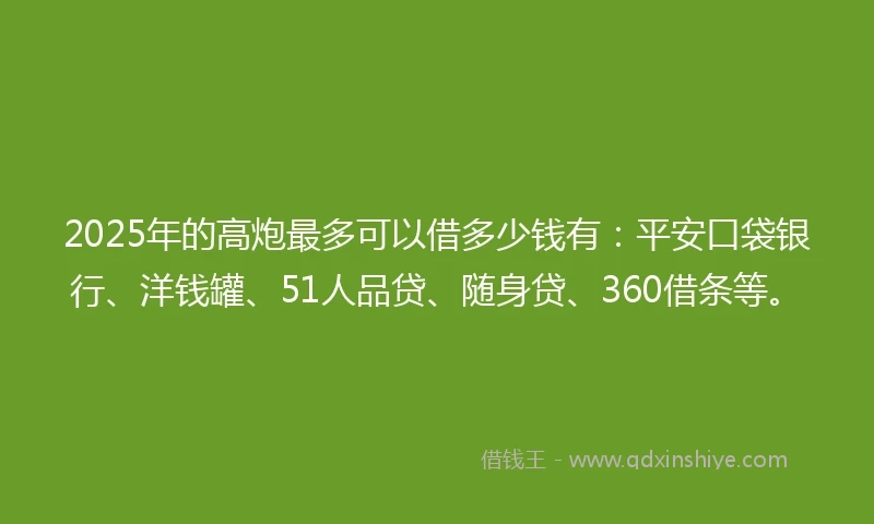 2025年的高炮最多可以借多少钱有：平安口袋银行、洋钱罐、51人品贷、随身贷、360借条等。