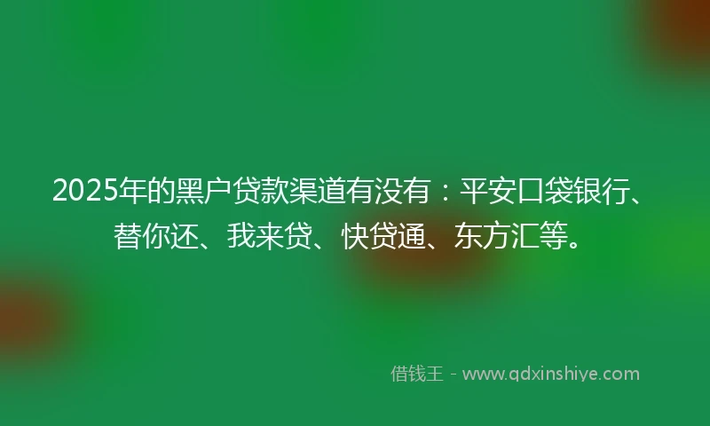 2025年的黑户贷款渠道有没有：平安口袋银行、替你还、我来贷、快贷通、东方汇等。