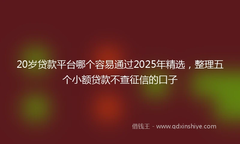 20岁贷款平台哪个容易通过2025年精选，整理五个小额贷款不查征信的口子
