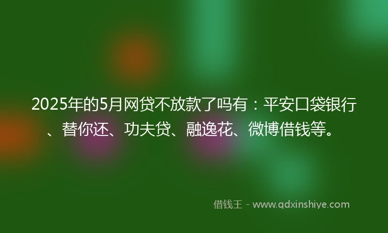 2025年的5月网贷不放款了吗有：平安口袋银行、替你还、功夫贷、融逸花、微博借钱等。