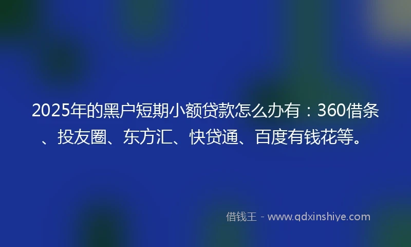 2025年的黑户短期小额贷款怎么办有：360借条、投友圈、东方汇、快贷通、百度有钱花等。