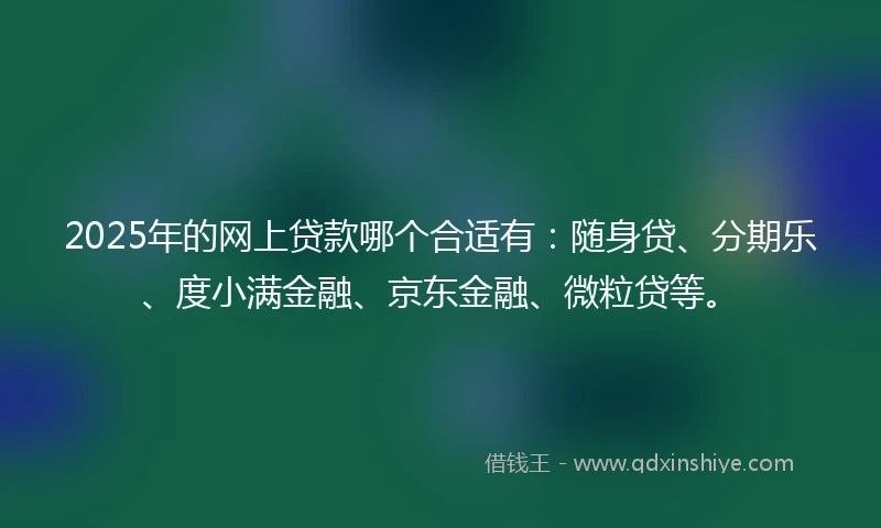 2025年的网上贷款哪个合适有：随身贷、分期乐、度小满金融、京东金融、微粒贷等。