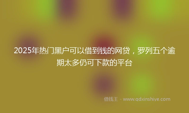 2025年热门黑户可以借到钱的网贷，罗列五个逾期太多仍可下款的平台