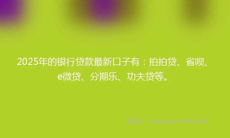 2025年的银行贷款最新口子有：拍拍贷、省呗、e微贷、分期乐、功夫贷等。