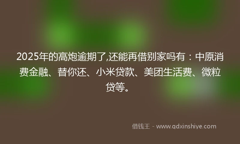 2025年的高炮逾期了,还能再借别家吗有：中原消费金融、替你还、小米贷款、美团生活费、微粒贷等。