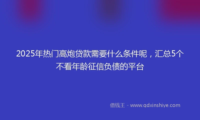 2025年热门高炮贷款需要什么条件呢，汇总5个不看年龄征信负债的平台