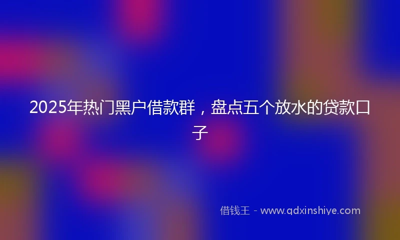 2025年热门黑户借款群，盘点五个放水的贷款口子