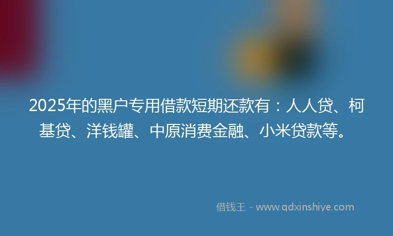 2025年的黑户专用借款短期还款有：人人贷、柯基贷、洋钱罐、中原消费金融、小米贷款等。