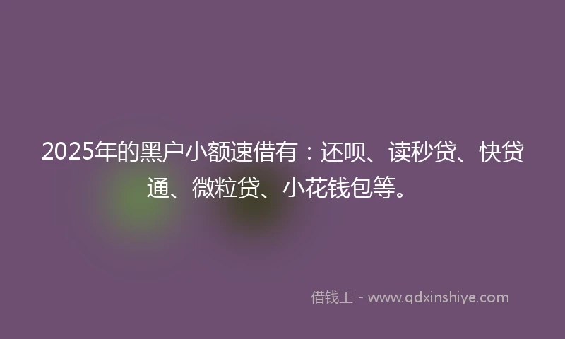2025年的黑户小额速借有：还呗、读秒贷、快贷通、微粒贷、小花钱包等。
