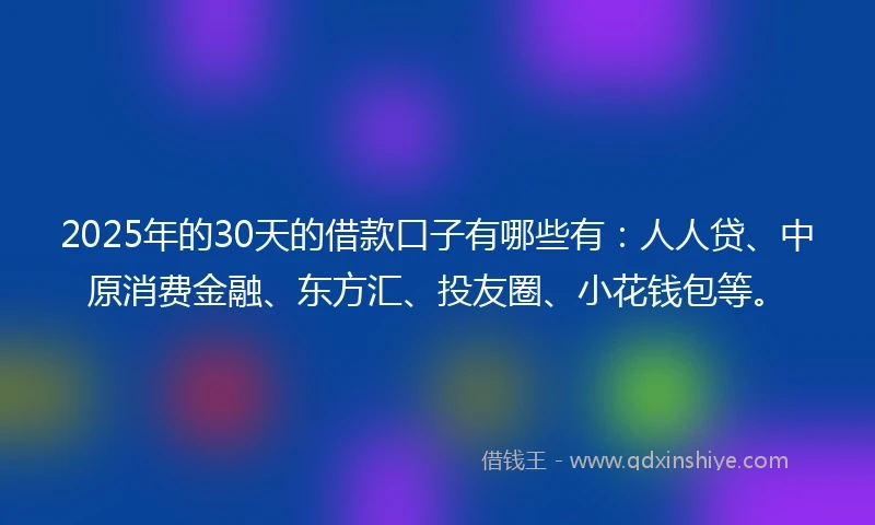 2025年的30天的借款口子有哪些有：人人贷、中原消费金融、东方汇、投友圈、小花钱包等。
