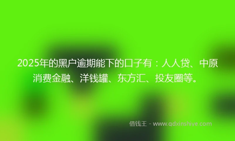 2025年的黑户逾期能下的口子有：人人贷、中原消费金融、洋钱罐、东方汇、投友圈等。