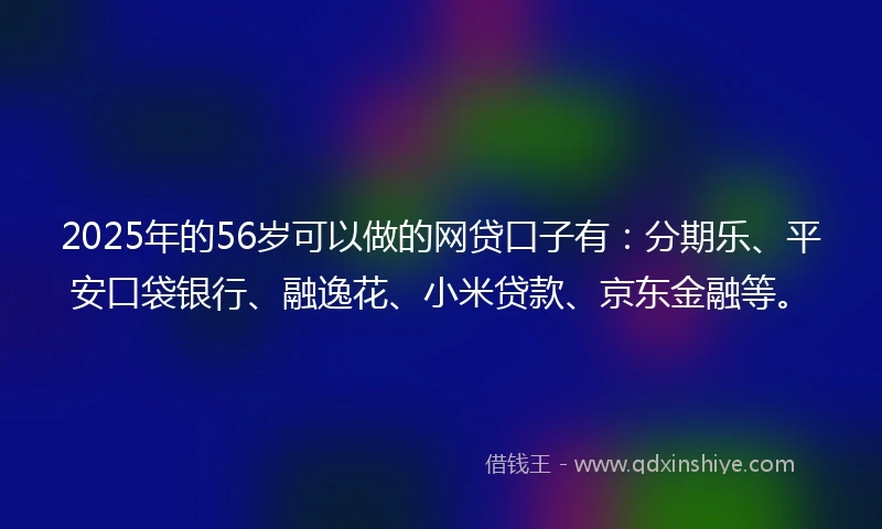 2025年的56岁可以做的网贷口子有：分期乐、平安口袋银行、融逸花、小米贷款、京东金融等。