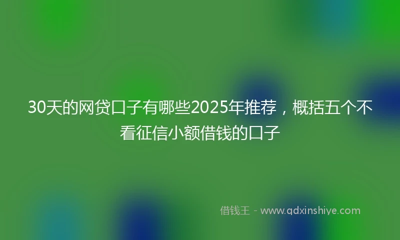 30天的网贷口子有哪些2025年推荐，概括五个不看征信小额借钱的口子