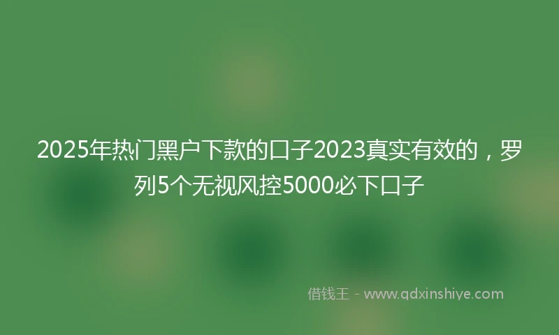 2025年热门黑户下款的口子2023真实有效的，罗列5个无视风控5000必下口子