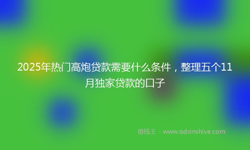 2025年热门高炮贷款需要什么条件，整理五个11月独家贷款的口子