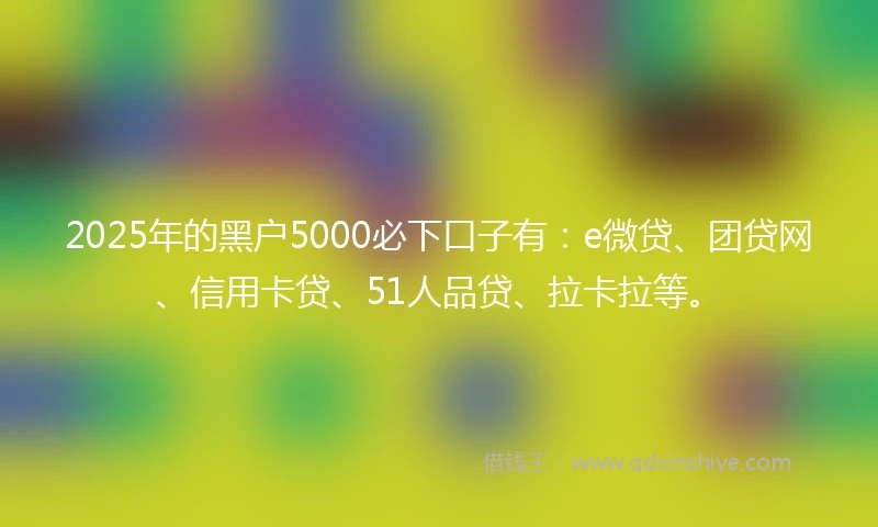 2025年的黑户5000必下口子有：e微贷、团贷网、信用卡贷、51人品贷、拉卡拉等。
