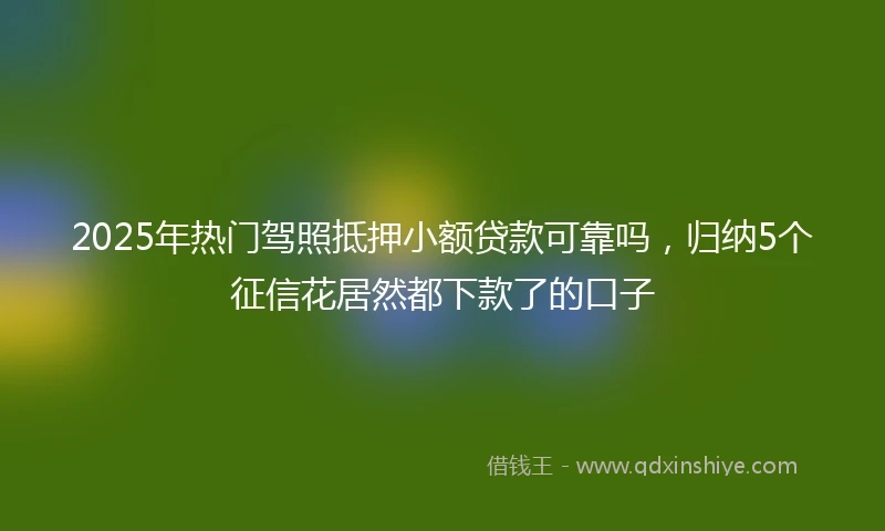 2025年热门驾照抵押小额贷款可靠吗，归纳5个征信花居然都下款了的口子