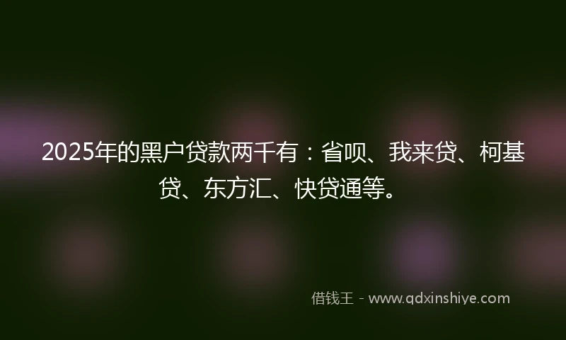 2025年的黑户贷款两千有：省呗、我来贷、柯基贷、东方汇、快贷通等。