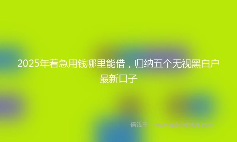 2025年着急用钱哪里能借，归纳五个无视黑白户最新口子