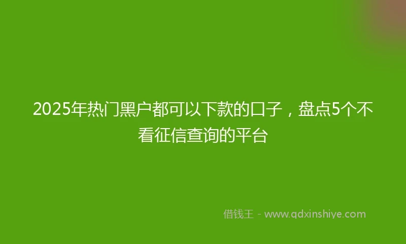 2025年热门黑户都可以下款的口子，盘点5个不看征信查询的平台