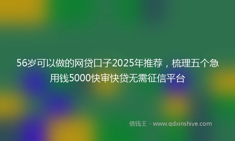 56岁可以做的网贷口子2025年推荐，梳理五个急用钱5000快审快贷无需征信平台