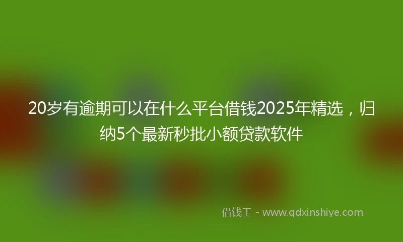 20岁有逾期可以在什么平台借钱2025年精选，归纳5个最新秒批小额贷款软件