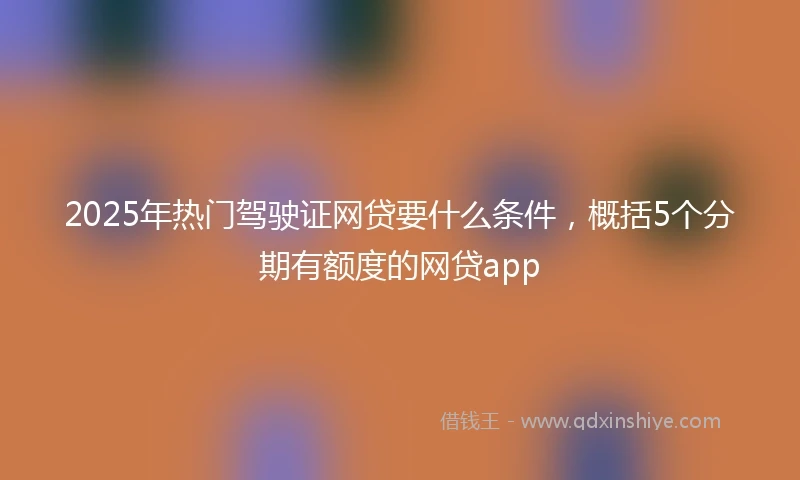 2025年热门驾驶证网贷要什么条件，概括5个分期有额度的网贷app