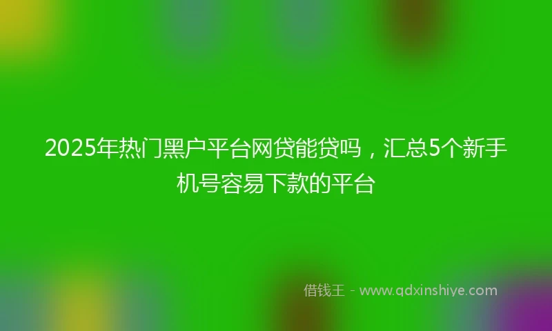 2025年热门黑户平台网贷能贷吗，汇总5个新手机号容易下款的平台
